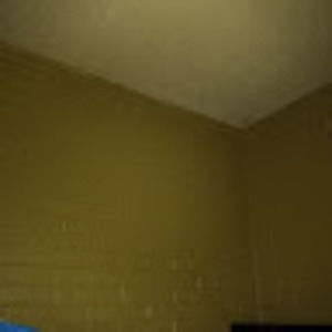 Meet your Posher, Antolin